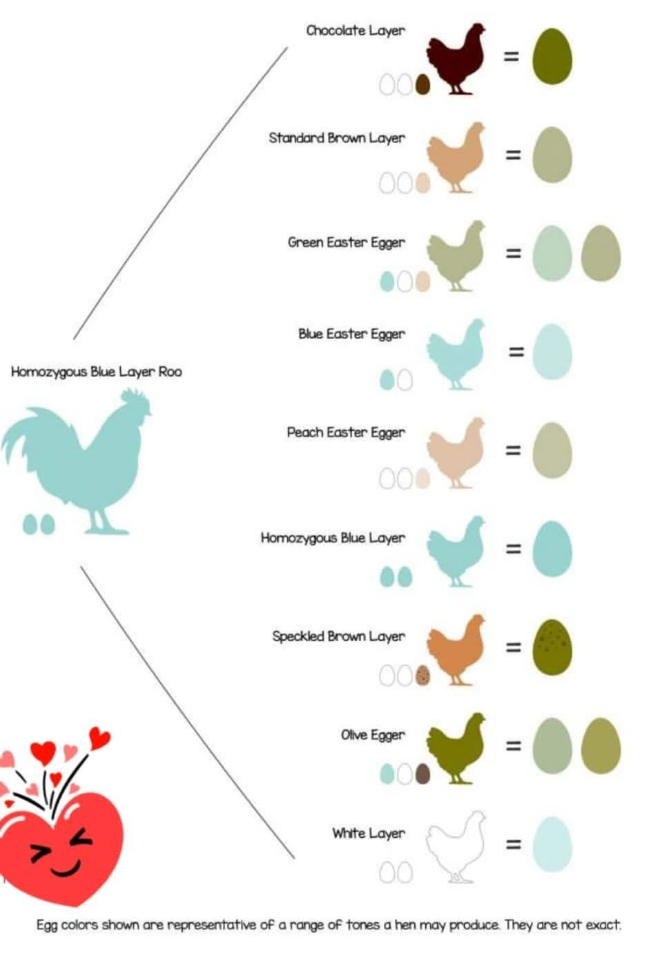 Rainbow Eggs